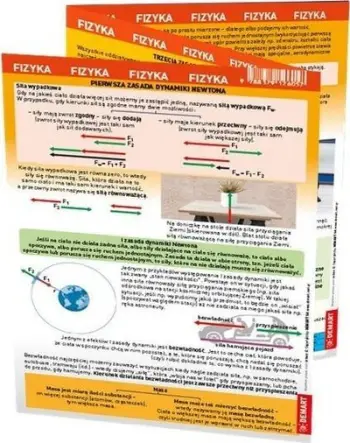Fletë ndihmëse fizike Maxi Cheat Sheet, e laminuar, 3 faqe, shumëngjyrëshe