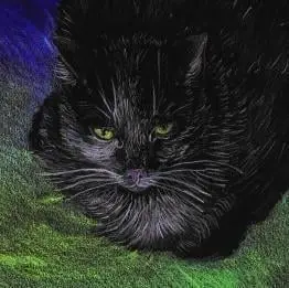 Fletore EMG Notes Ecological Cats, letër e ricikluar, dizajn me mace, ngjyrë natyrale