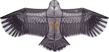 Fluturë ajrore Dragon Fly Eagle, për fëmijë, me dorezë dhe çantë, shumëngjyrëshe