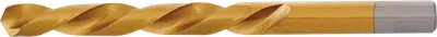 Pamja 1