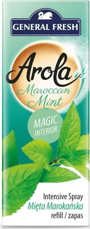 Rimbushje osheoni ajri General Fresh Magic Cone Moroccan Mint, 40ml