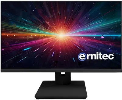 Monitor survejimi Ernitec 27", Full HD, 24/7, i zi - 1