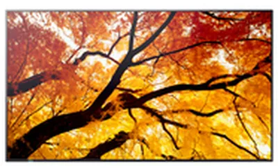 Monitor profesional Sharp MultiSync M432, 43", 4K Ultra HD, i zi - 3