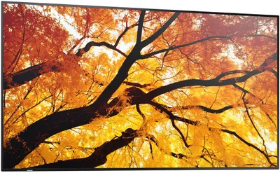 Monitor profesional Sharp MultiSync M432, 43", 4K Ultra HD, i zi - 4