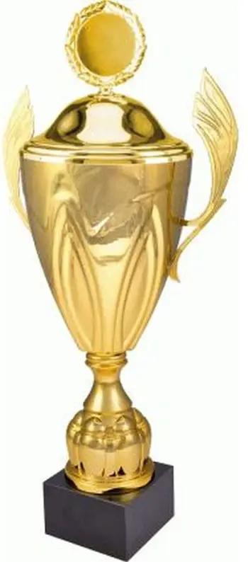 Kupë dekorative Golden 4126/BP, metal, 57cm, ngjyrë ari