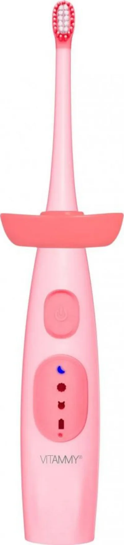 Pamja 2