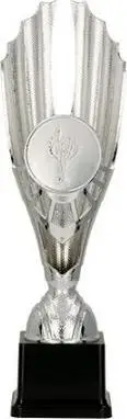 Kupë trofe Tryumf 7239 C, 29 cm, argjend