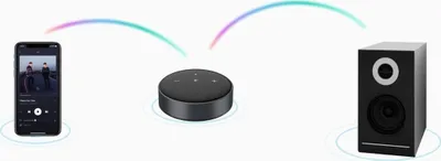 Network player audio WiiM Mini, Hi-Res, WiFi, i zi - 3