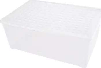 Kuti ruajtëse Textile Storage Container Transparent 4, 45L, plastike, transparente
