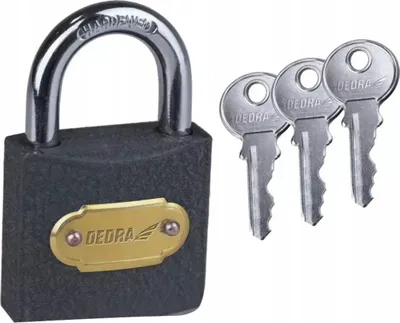Kyç Dedra 11U102, metalik, me çelës, argjendtë - 3