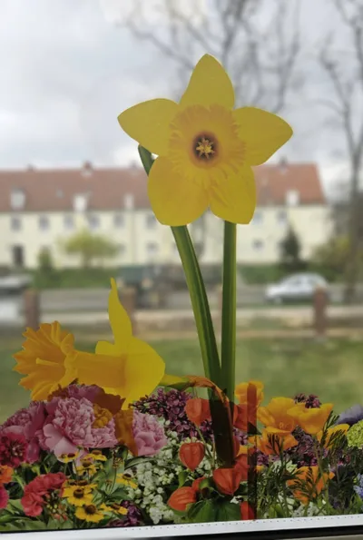 Set dekorimi Teka Spring Flowers Daffodils, 3 copë, shumëngjyrësh - 1