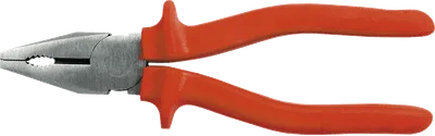 Pamja 1