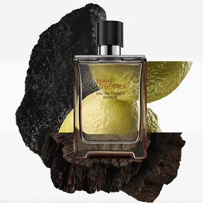 Set dhurate Hermès Terre D'Hermès Eau de Parfum Intense, 100ml, për meshkuj - 2
