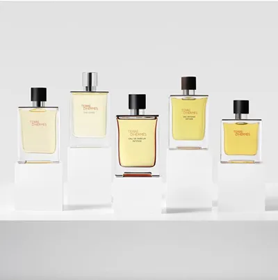 Set dhurate Hermès Terre D'Hermès Eau de Parfum Intense, 100ml, për meshkuj - 4