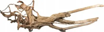 Dekor akuariumi TerraNatura Swamp Trunk, dru natyral, 40–60 cm, kafe