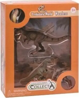 Set figura dinosaurësh CollectA, Tyrannosaurus dhe Velociraptor, set me 2, shumëngjyrësh