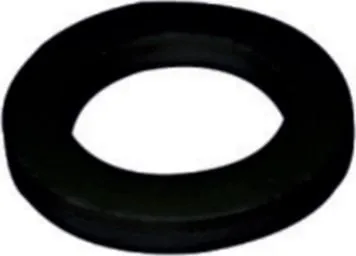 Pamja 1