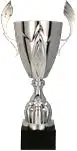Kupë trofe Tryumf Golden 4127/DP, metal, me kapak, argjendi