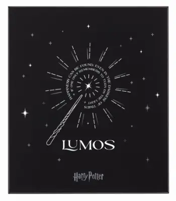 Set fletore dhe stilolaps Moleskine Harry Potter Lumos, format i madh, me vija, i shumëngjyrshëm