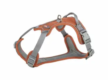 Set ham Trixie Premium Active Rust XS, 30 40 cm, me zinxhir, i ndryshkët