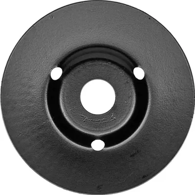 Disk rasp diagonal DEDRA F692005, 125mm, gradacion i lartë - 5