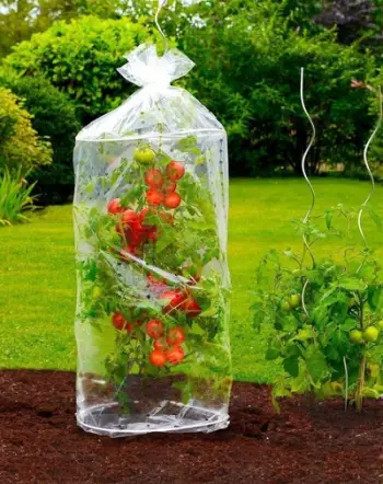 Set mbulesa për pjekje domatesh Wenko, 2 copë, transparente