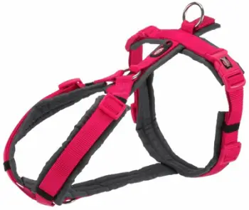 Set për qentë Trixie Premium Trekking, jakë dhe lash, XS, fuchsia dhe gri grafit