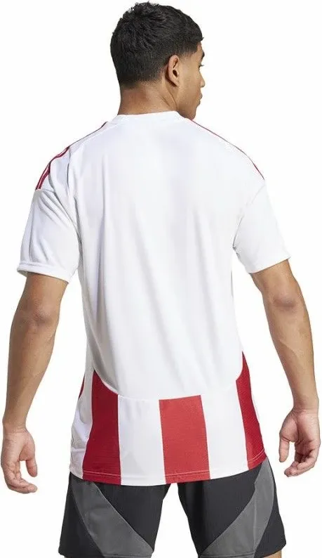 Pamja 2