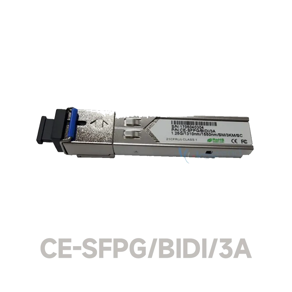 Pamja 8
