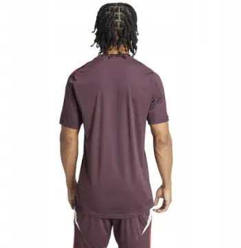 Bluzë stërvitore Adidas FC Bayern Training JSY M IS9935, për meshkuj, poliester, bordo