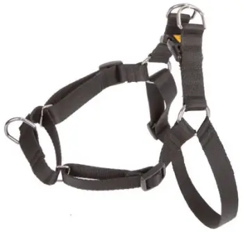 Parzmore për qen Dingo Easy Walk, 61-90 cm, e zezë