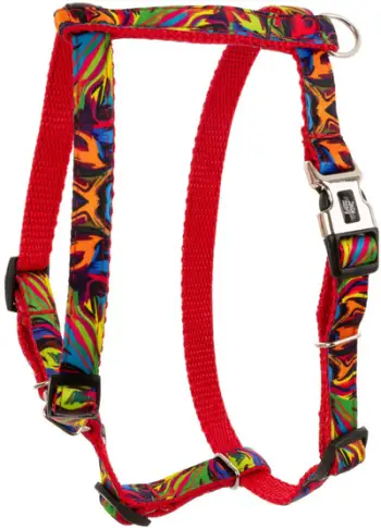 Ham për qen Barry King Picasso, 10mm, 25-40cm, i kuq shumëngjyrësh