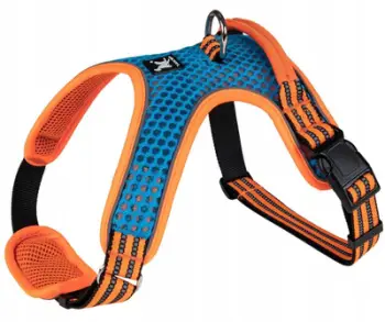 Harness për qen Barry King, reflektues, madhësia XL, blu portokalli
