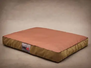 Dyshek qenësh Reedog Standard L, mbulesë e heqshme, bezhë