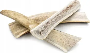 Shpërblim për qen 4DOGS Halved Deer Antler Standard L, brirë dreri natyral, i prerë përgjysmë, ngjyrë natyrale