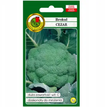 Farë perimesh brokoli PNOS Cezar, 2g, për kopësht