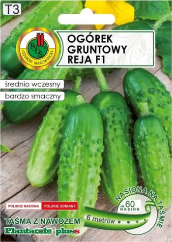 Dekor për Krishtlindje dëborë natyral, dru, 7cm 29cm, shumëngjyrëshe