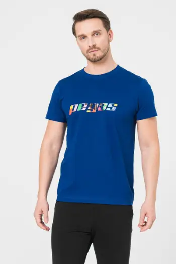 Bluzë burra Multicolor Logo, me logo shumëngjyrëshe, royal blue