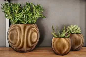 Set vazo dekorative Capi Ball Groove Gold, 3 copë, për ambiente të brendshme, ngjyrë ari