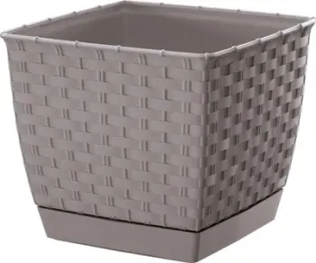 Vazo lulesh Prosperplast Ratolla Square, plastike, 15.9 cm, bezhë