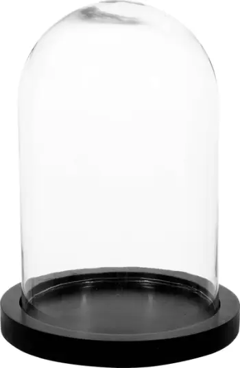 Kupë dekorative Atmosphera Glass Bell Jar, H 26 cm, bazë druri MDF, transparente