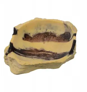 Tas terrariumi Desert Terrarium Bowl, dekor shkretëtire, 12cm, ngjyrë natyrale shkëmbi