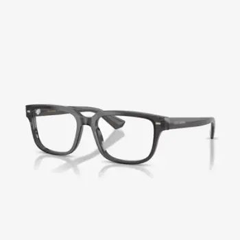 Dolce & Gabbana DG3380 3160 54