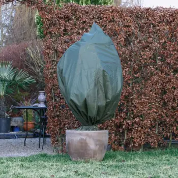Mbulesë për bimë Nature, 70 g / m, 2.5 x 3m, e gjelbër