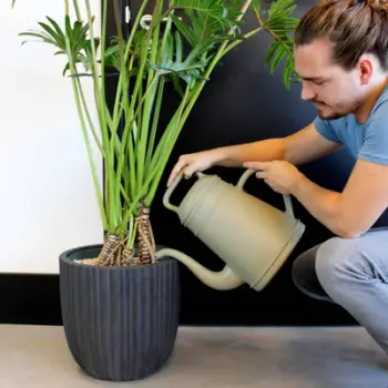 Ujitëse Capi Europe Lungo, 12L, plastike, gri ulliri