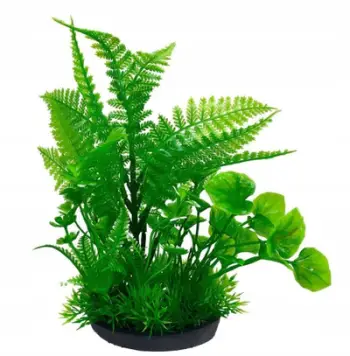 Bimë dekorative për akuarium Aqua Natura Peperomia Ostra dhe Fern, plastike, 18 cm, e gjelbër