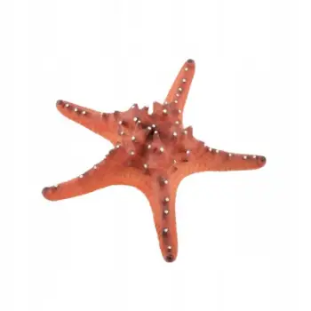 Zbukurim akuariumi Aqua Natura Red Starfish, figurë yll deti, 22cm, i kuq