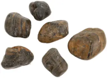 Gurë dekorativë Terra Natura Tiger Pebble, 30-50 mm, për akuarium dhe terrarium