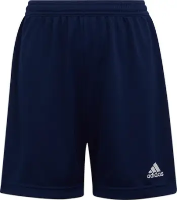 Shorce për meshkuj Adidas ENTRADA 22 S, të kaltra të errëta