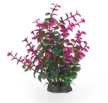 Bimë artificiale për akuarium Aqua Natura Peperomia, 20 cm, plastike, jeshile vjollcë
